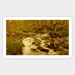 Crystal clear mountain stream Magnet